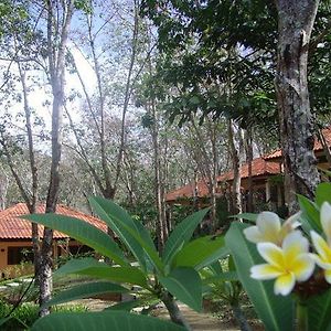 Koh Mook Rubber Tree Bungalows